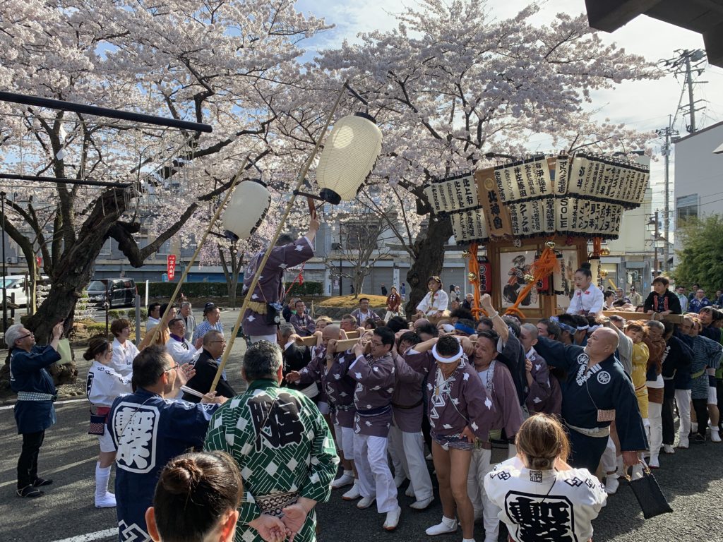 桜咲く諏訪神社での神輿渡御